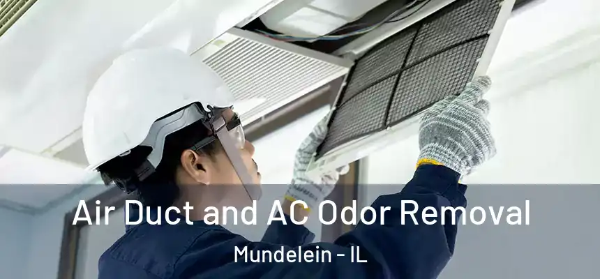  Air Duct and AC Odor Removal Mundelein - IL
