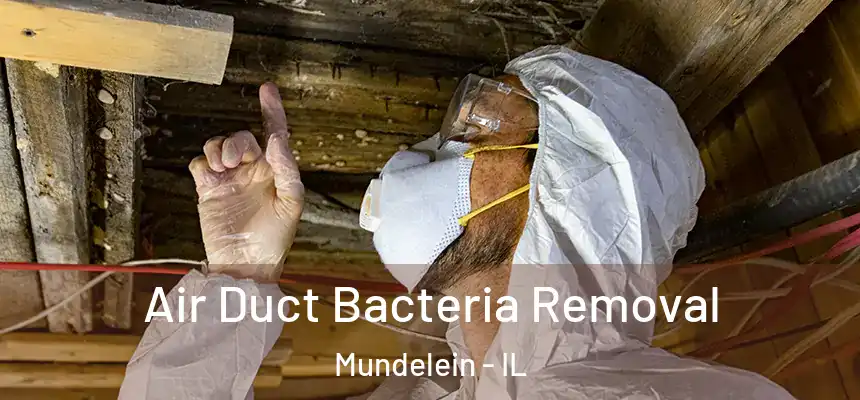  Air Duct Bacteria Removal Mundelein - IL