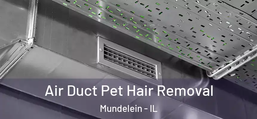 Air Duct Pet Hair Removal Mundelein - IL