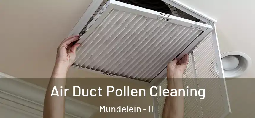 Air Duct Pollen Cleaning Mundelein - IL