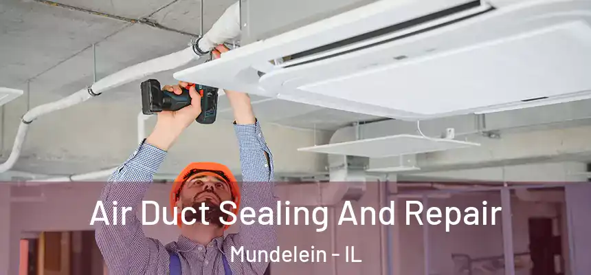 Air Duct Sealing And Repair Mundelein - IL