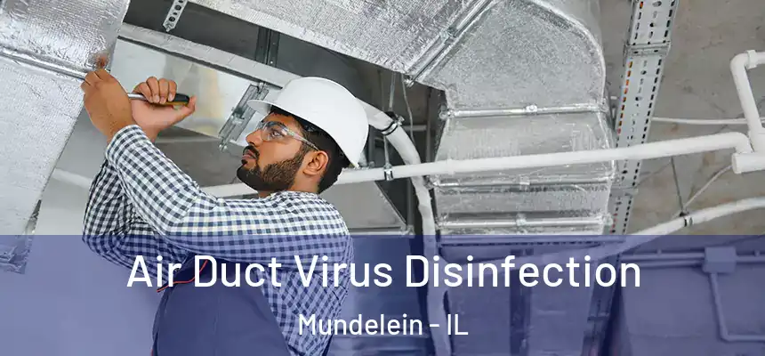 Air Duct Virus Disinfection Mundelein - IL