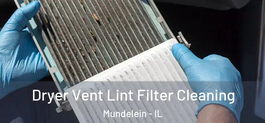  Dryer Vent Lint Filter Cleaning Mundelein - IL