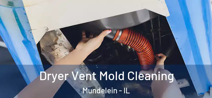 Dryer Vent Mold Cleaning Mundelein - IL
