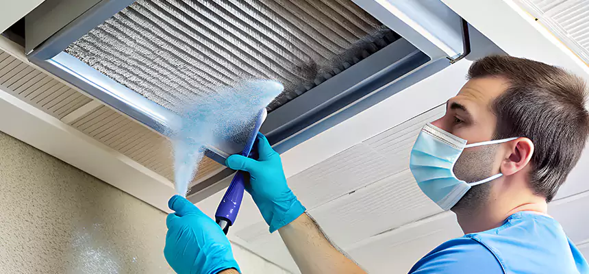 Proactive Dryer Vent & Auxiliary Duct Pollen Cleanup in Mundelein, IL