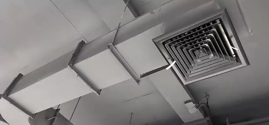 Restorative Allergy Relief Vent Cleaning – Coil, Blower & Housing Detail in Mundelein