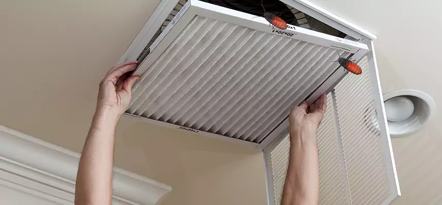 Our Insect Removal from Air Ducts Services in Mundelein, IL