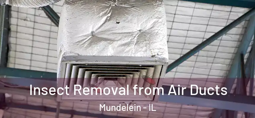 Insect Removal from Air Ducts Mundelein - IL