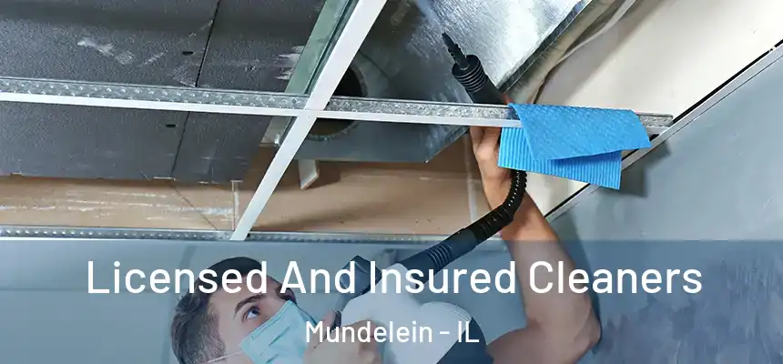  Licensed And Insured Cleaners Mundelein - IL
