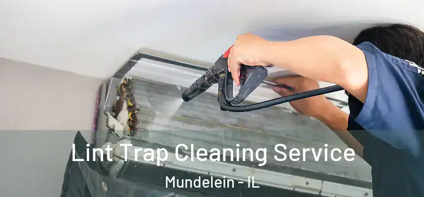 Lint Trap Cleaning Service Mundelein - IL