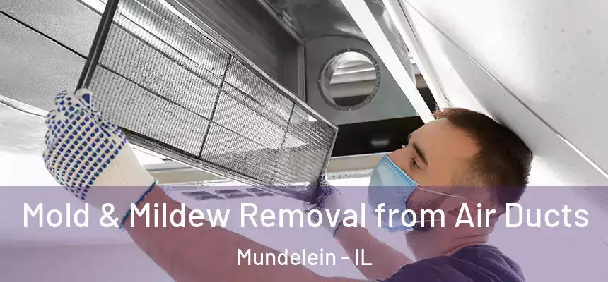 Mold & Mildew Removal from Air Ducts Mundelein - IL