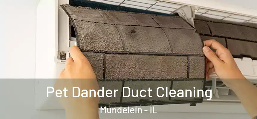  Pet Dander Duct Cleaning Mundelein - IL