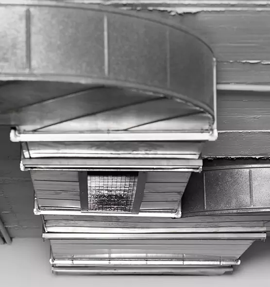 Professional Air Duct Pet Hair Removal in Mundelein, IL