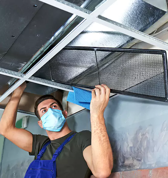 Professional Air Duct Pollen Cleaning in Mundelein, IL