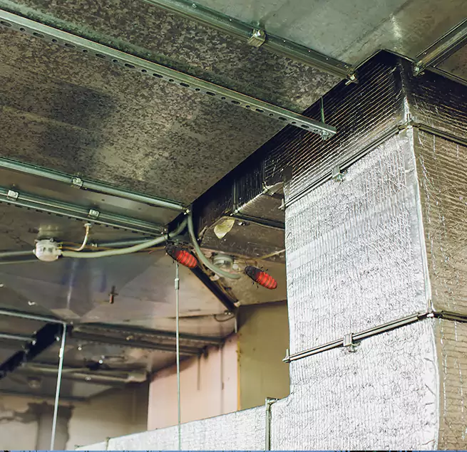 Why Homeowners & Businesses Trust Us in Mundelein, IL?