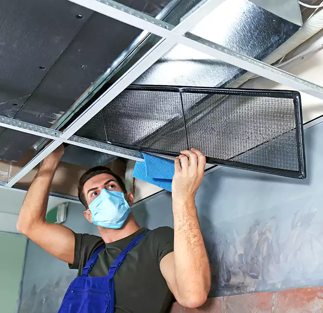 Why Homeowners Businesses Trust Us in Mundelein, IL