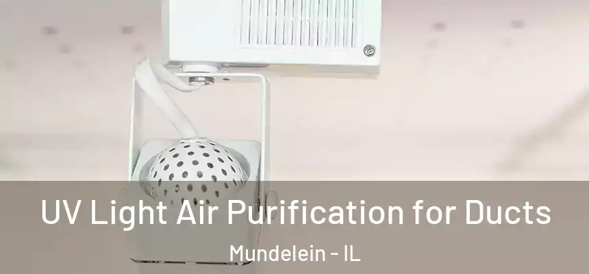  UV Light Air Purification for Ducts Mundelein - IL